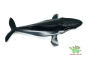 Preview: Papo Buckelwal  56001